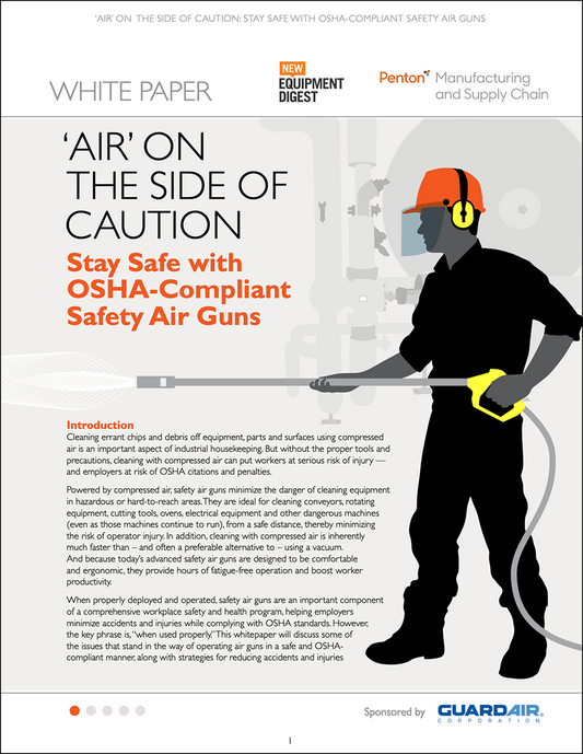 Safety Air Guns White Paper