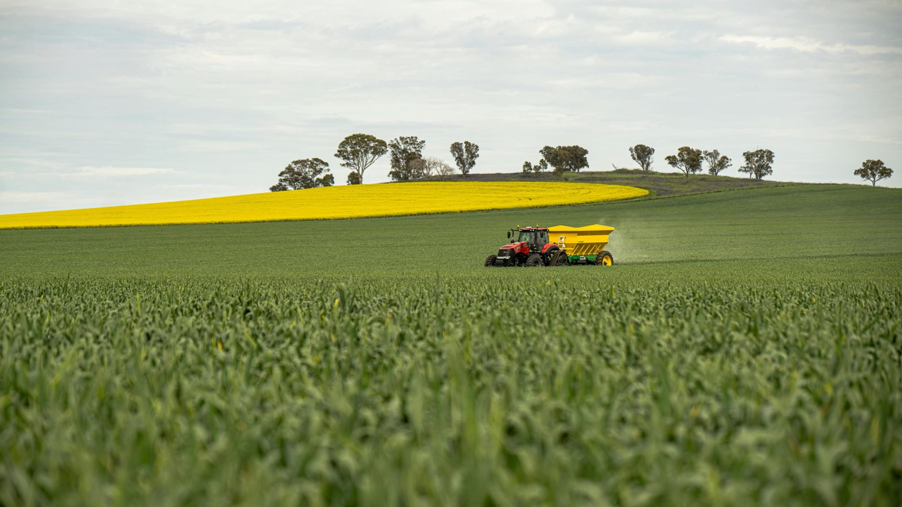 Agriculture Industry