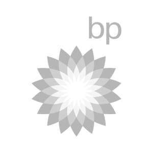 BP logo with a geometric flower design on a white background