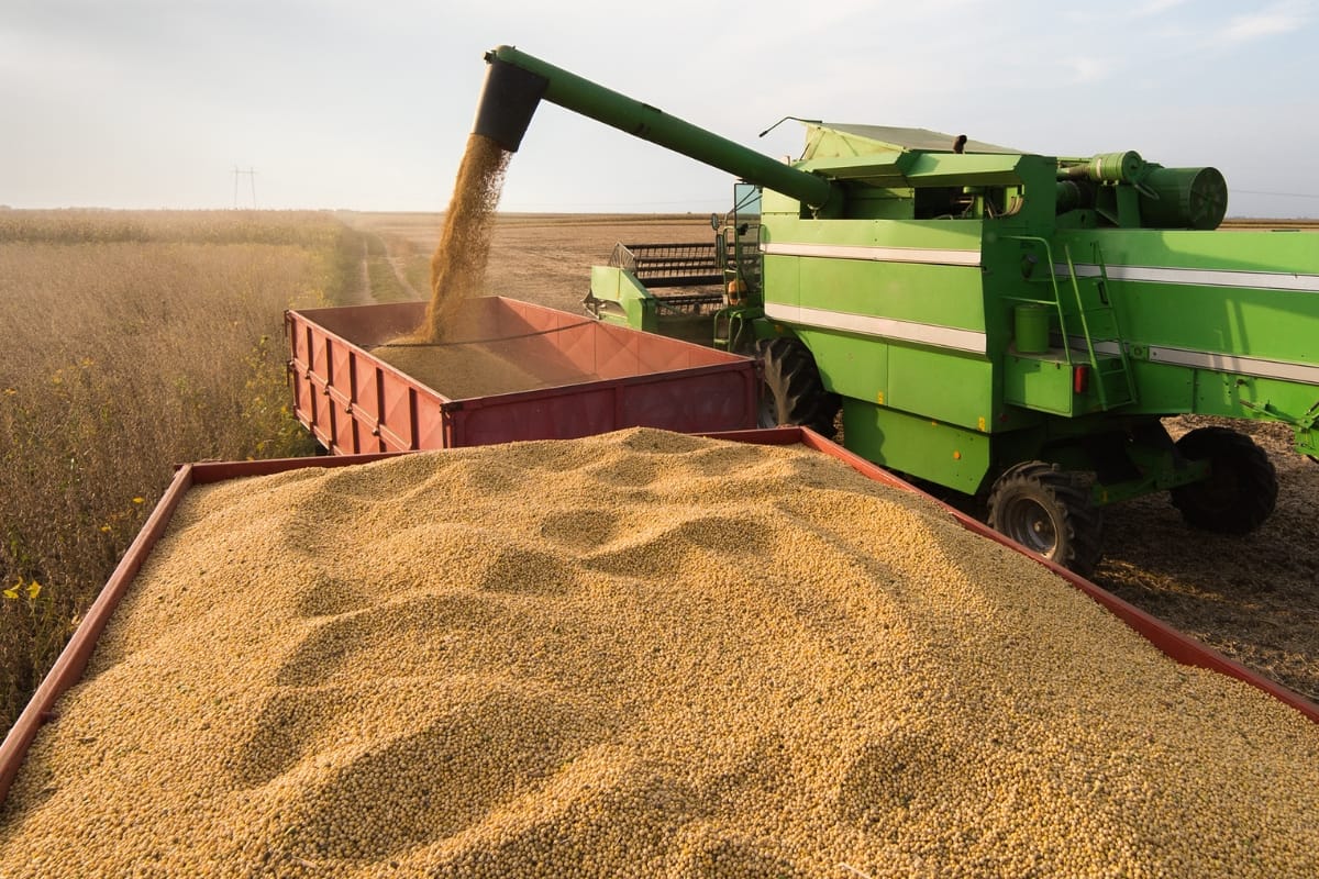 Grain & Flour Processing Industry