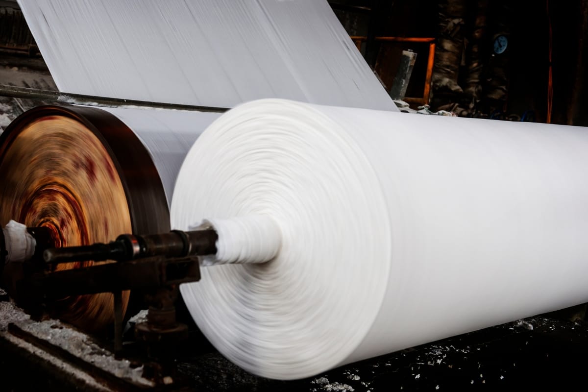 Pulp & Paper Industry